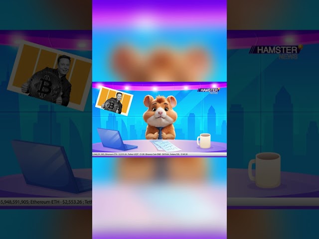 Elon Musk's new political party to back Bitcoin ⚡️ Hamster News