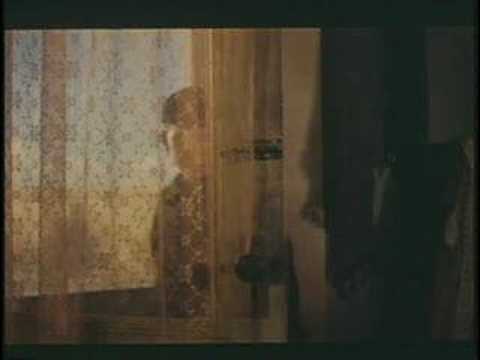 The Reflecting Skin'