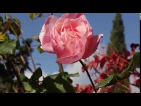 Vidéo de l’hébergement