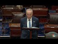Schumer condemns brazen and widespread antisemitism in floor speech  - 02:34 min - News - Video