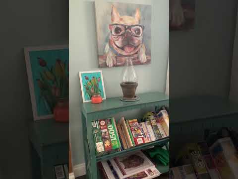 Property video