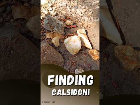 I found an amazing calsidoni #gemstone #shorts