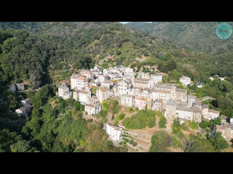 Video realizado por la propiedad