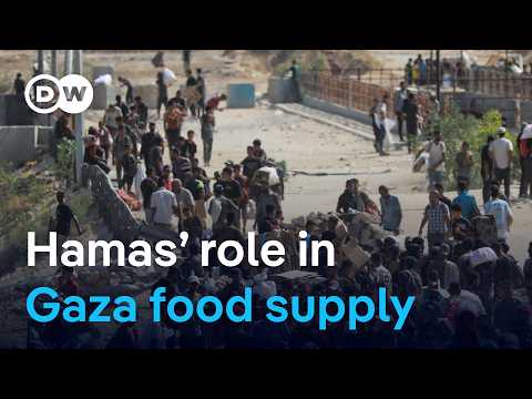 Food aid in Gaza: The influence of Hamas | DW News