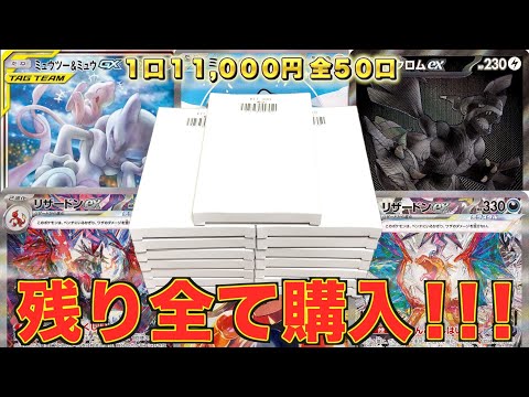 【初購入】1口11,000円!! 大当たり本気狙いで残り全部購入してみたら衝撃の結末に…【ポケカ】