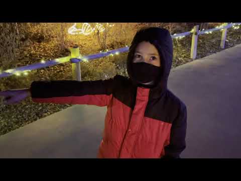 SLC zoo Christmas Lights