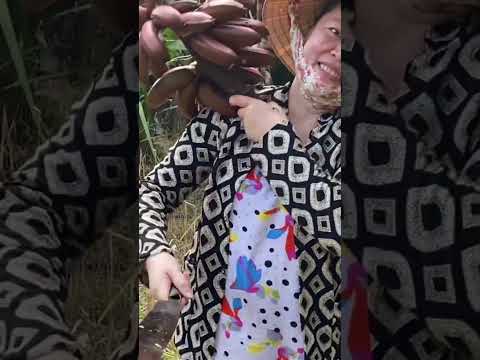 tui đi thu hoạch chuối #short