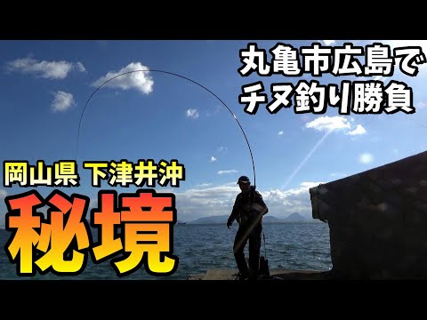 遥か沖合の丸亀市広島という秘境でチヌフカセ釣り勝負！in 岡山県下津井沖