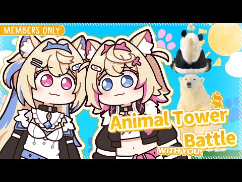 【ANIMAL TOWER BATTLE PARTICIPATION】stack the animals with our competitive team work 🐾【MEMBERS ONLY】