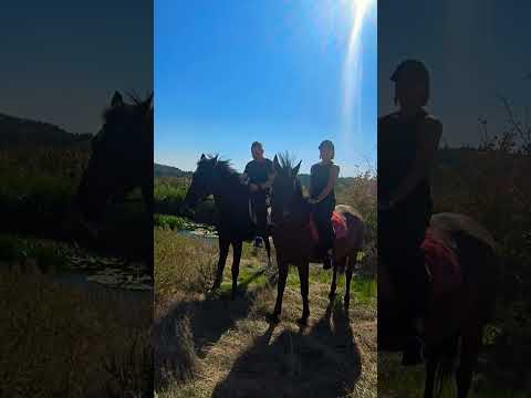 18 вересня 2025 р.