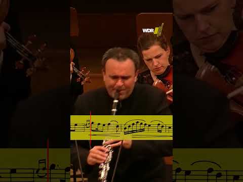 This #clarinet melody goes to heart 💓 #classicalmusic