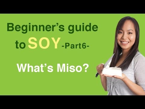 Beginner's guide to soy 6- What is miso?