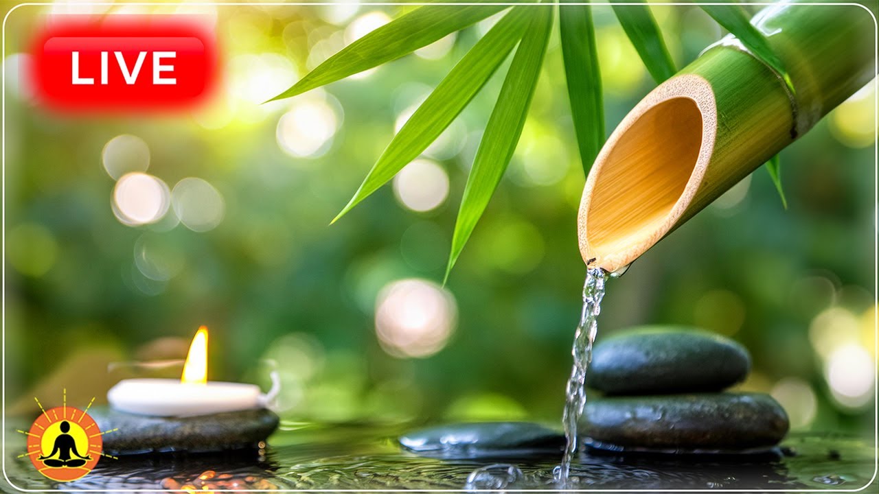 🔴 Relaxing Zen Music 24/7, Stress Relief Music, Sleep Music, Meditation Music, Quiet Music, Nature