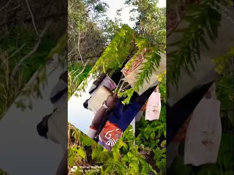 माहुली गड भटकंती.......