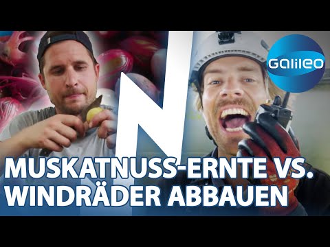 Jobs in schwindelerregender Höhe: Vincent & Jan geben ihr Bestes! | Galileo | ProSieben