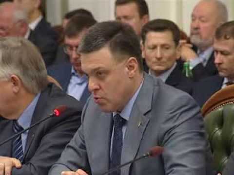 Виступ Олега Тягнибока під час круглого столу з питань евроінтеграції