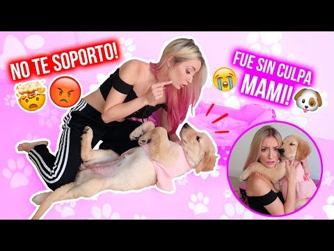 TAG DE LA MASCOTA! LA PEOR TRAVESURA DE PRINCESA!! 😱🤯🐶 LA VOY A REGALAR?!😫 | Katie Angel