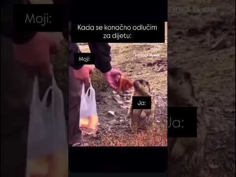 #trenericazamame #branislavamusulin #emotivnoprejedanje #hrana #meme #funnyvideos #funnymemes #mama