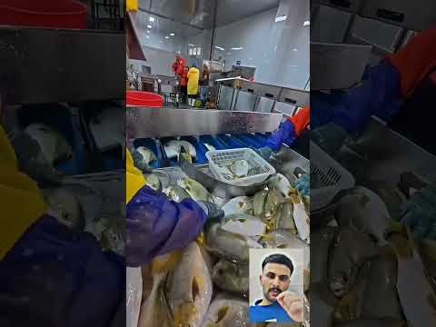 معلومات عامه