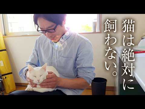 恐ろしいほど人懐っこい猫に、一瞬で下僕化されたオッサン。
