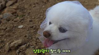 動画サムネイル