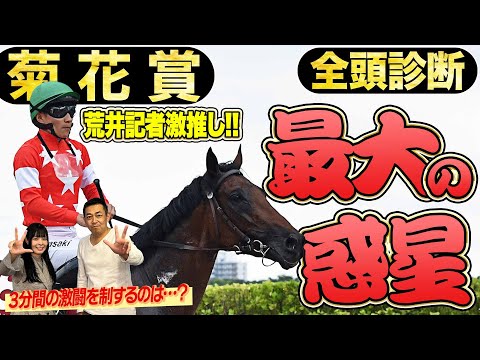 《東スポ競馬ニュース》【菊花賞2025】全頭診断!荒井記者激推しの『本当はS評価にしたい馬』とは!?競馬記者が解説します
