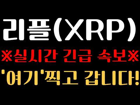 [리플(엑스알피) 코인 분석] ※실시간 긴급 속보※ '여기' 찍고나면 진짜 무섭게 갑니다..!!