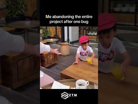 Why I Abandoned My Project After One Bug
