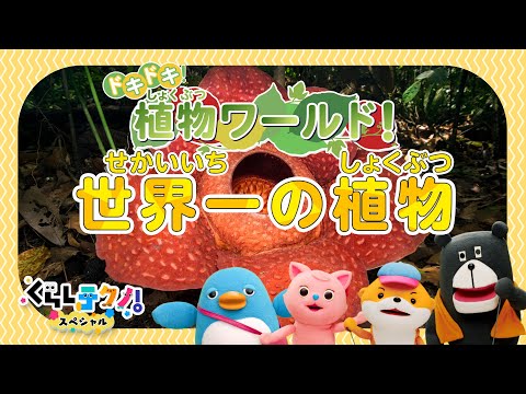 いろんな世界一の植物｜セコイア 、ミジンコウキクサ、ラフレシア、ほか｜くらしテクノ