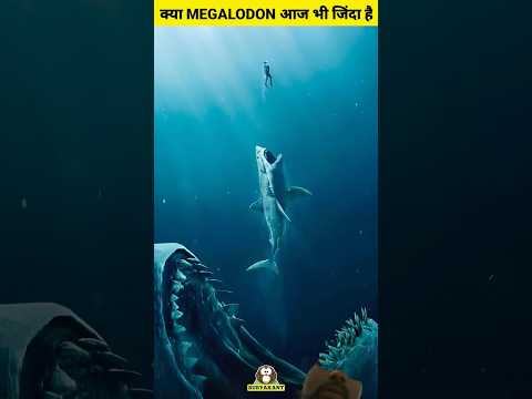 Fact fishing #facts #fishing #viral #trending #viralvideos #shortsfeed #cartoon