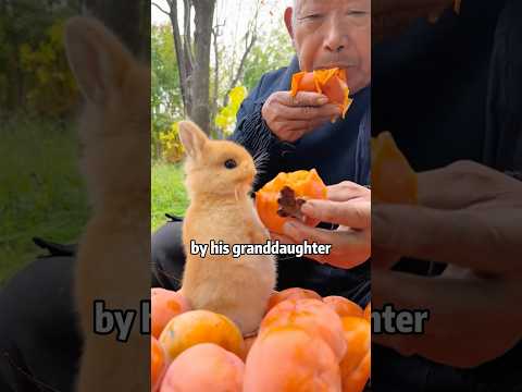👴🐰 "FUR GRANDBABY!" Man