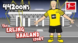 The Story of Erling HAALAND — Powered by 442oons