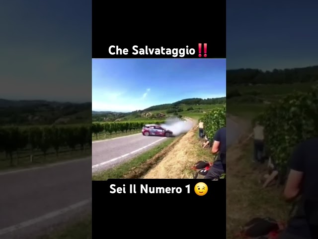 TOP ‼️ #ferrari #automobile #f1 #wrc #rally #driver #top #perte #formula1 #hamilton #charlesleclerc