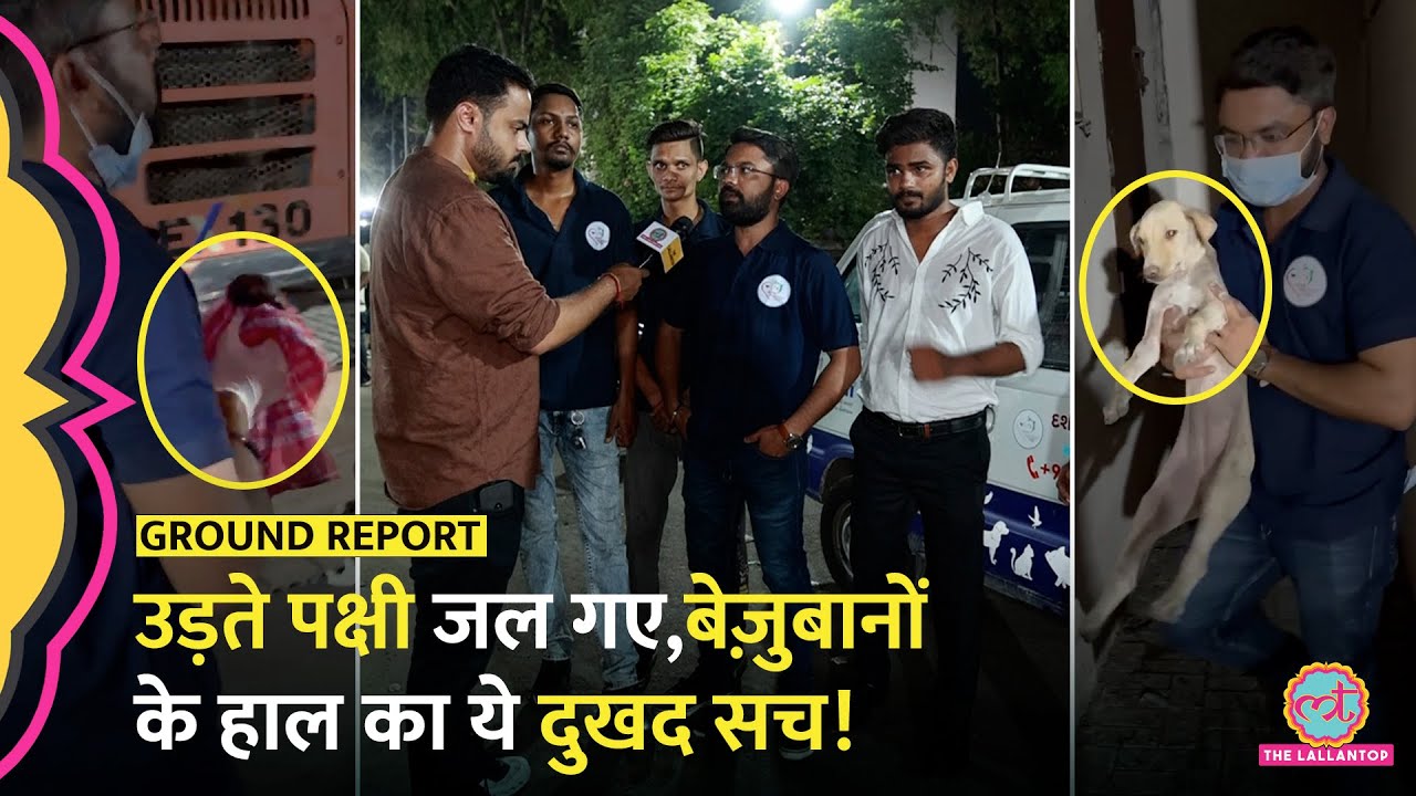 Ahmedabad Air India crash ने पक्षियों और Dogs तक को संभलने नहीं दिया,अंदर का झकझोर देने वाला हाल