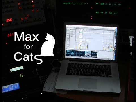 Max for Cats