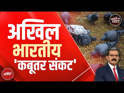 Mumbai News: कबूतर को दाना खिलाते हैं तो ये खबर एक बार जरूर देखिए | Pigeon | Khabron Ki Khabar
