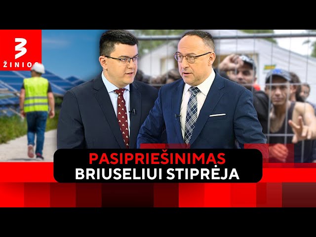 V. Sinica apie žaliąją ideologiją ir migrantų spaudimą Lietuvai / Dienos komentaras