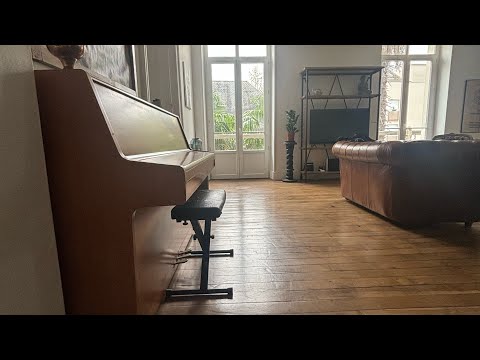 Video realizado por la propiedad