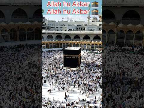 Ya Rasulallah Sun lejiye Mari faryad ko #Viral #Music #Shorts