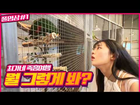앵무새가 신기한 눈또 I 최가네 즉흥여행 260827 [1] - <strong>KoonTV</strong>