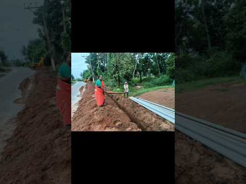 రైతుకు జరిగిన నష్టం.పంచాయతీ సెక్రెటరీ చేసిన పనికి మాకు నష్టం జరిగింది.#shorts#farmer#farmerlife#yt