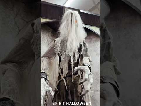 Spirit Halloween Sale 2025