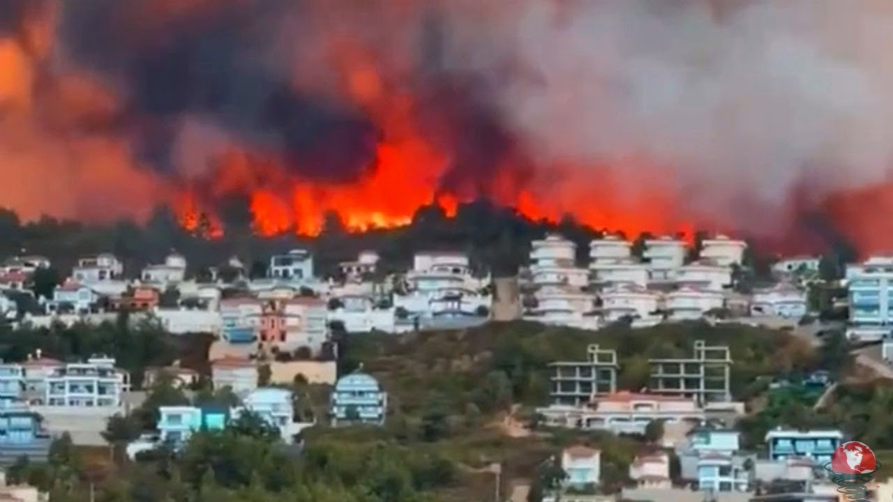 The Destructive Power of Fire! Forest Fires and Their Consequences