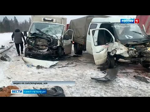 Вести Санкт-Петербург. Выпуск 21:05 от 13.01.2021