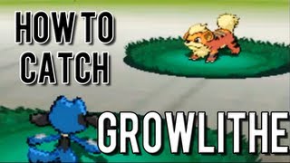 How To Evolve Growlithe In Pokemon White 2