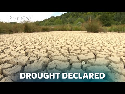 Drought spreads across England: What you can do at home to help | ITV News