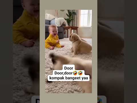 bisa sefrekuensi gitu ya #baby #cutebaby