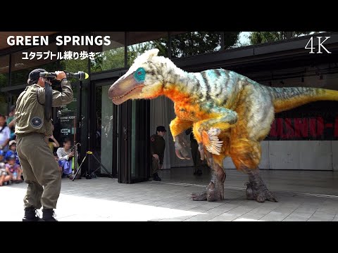 【4K】GREENSPRINGSに恐竜が住み着いた！DINO-A-LIVEユタラプトル練り歩き 2024年8月／DINO-A-LIVE GREENSPRINGS Utahraptor Walk