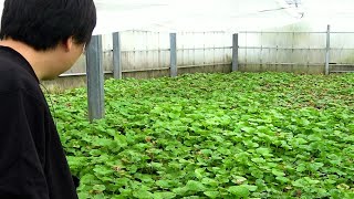 動画サムネイル