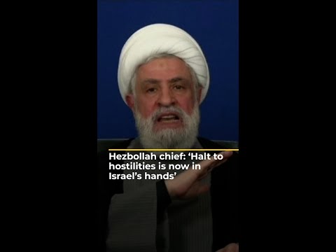 Hezbollah chief: ‘Halt to hostilities is now in Israel's hands’ | AJ#shorts